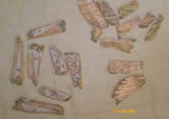 Decoupe1.JPG (40341 octets)