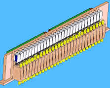 Org6.JPG (73847 octets)