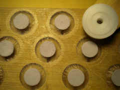 Pose_membrane.JPG (137054 octets)